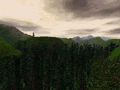 File:Video.gif