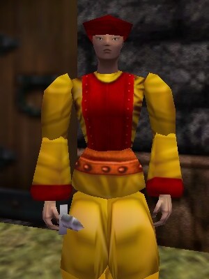File:New Aluvian War Mage Champion Live.jpg