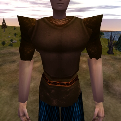 File:Gromnie Hide Shirt Live.jpg