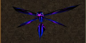 File:Mini Blue Phyntos Wasp Live.jpg