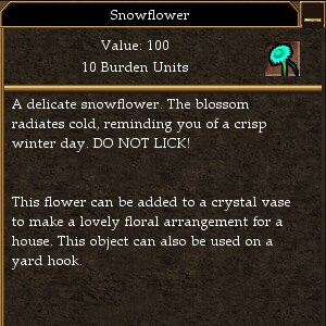 File:Snowflower.jpg
