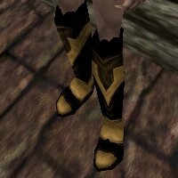 File:Viamontian Laced Boots Live.jpg