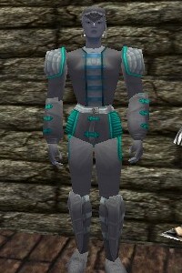 File:Leather Armor Argenory Live.jpg