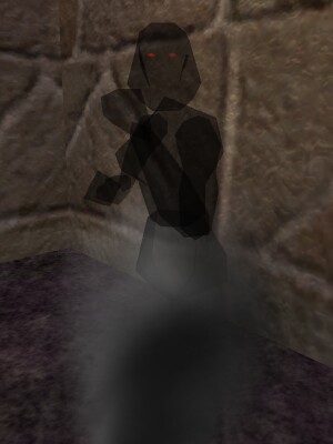 File:Shadow Nightmare Live.jpg