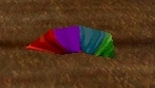 File:Prismatic Plume Live.jpg