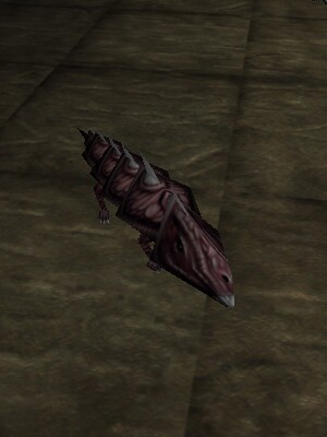 File:Spiny Armoredillo Pup Live.jpg