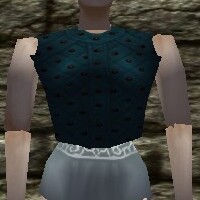 File:Studded Leather Breastplate Live.jpg