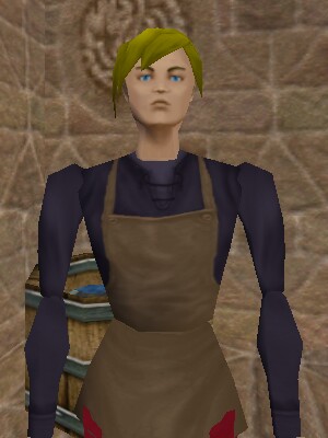 File:Armorer (South Direlands) Live.jpg