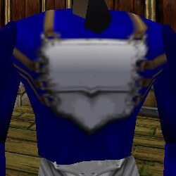 File:Breastplate of Power Back Live.jpg