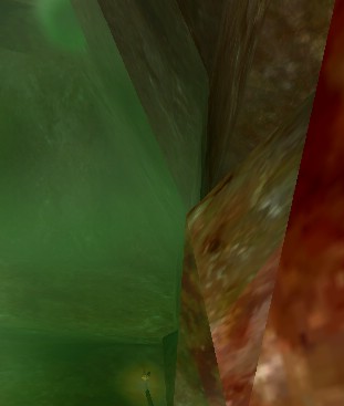 File:Stomach Wall Live.jpg
