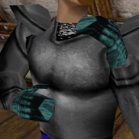 File:Gromnie Hide Gauntlets Live.jpg