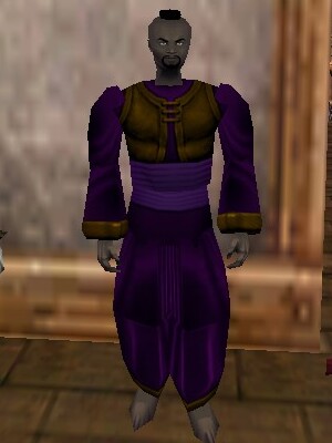 File:Dho Vest and Over-robe Relanim Live.jpg
