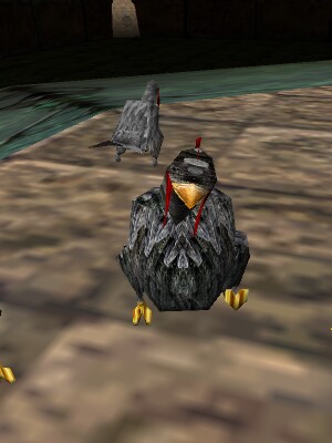 File:Rooster Live.jpg