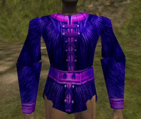 File:Academy Coat Blue Purple Live.jpg