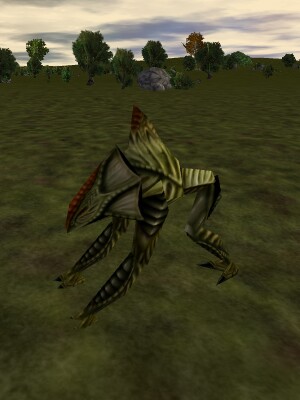 File:Veteran Reedshark Live.jpg