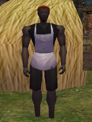 File:Farmer Ar'Oyd Live.jpg