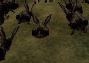 File:Baby Black Rabbit Live.jpg
