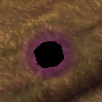 File:Black Ball Live.jpg