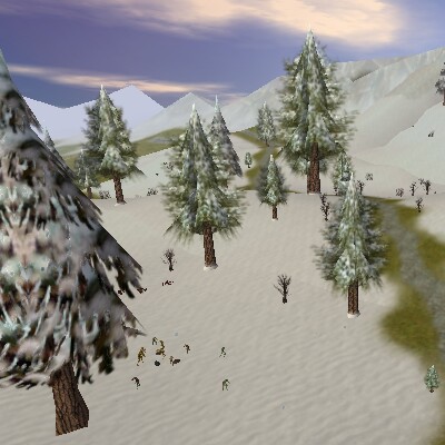 File:42.1S, 63.8E - Banderling Camp Live 2.jpg
