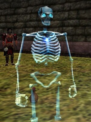 File:Frost Skeleton Minion Live.jpg
