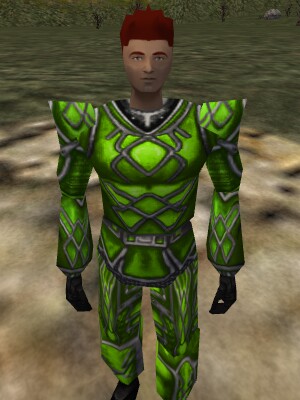 File:Lesser Celdon Armor of Acid Live.jpg