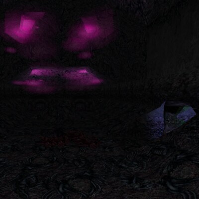 File:New Hive Live 2.jpg