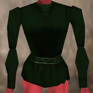 File:Seasoned Explorer Shirt Verdalim Live.jpg