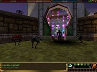 A Shadow Mouth inside Asheron's Castle