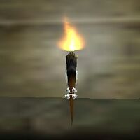 Torch to open the door