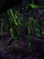 Thumbnail for version as of 04:29, 17 January 2024