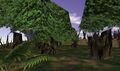 Thumbnail for version as of 04:40, 17 January 2024