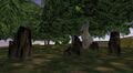 Thumbnail for version as of 04:40, 17 January 2024