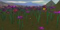 Thumbnail for version as of 04:43, 17 January 2024