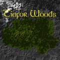 Thumbnail for version as of 03:08, 17 January 2024