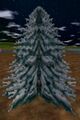 Thumbnail for version as of 03:37, 17 January 2024