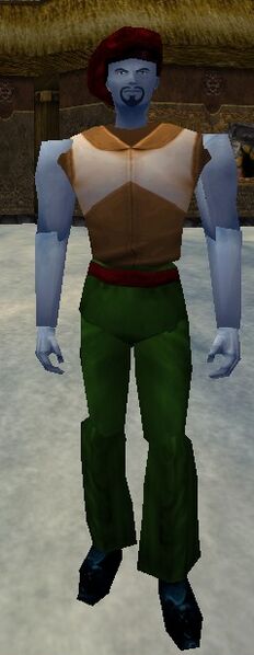 File:Gianni Vernice Live.jpg