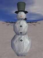 The Blind Snowman