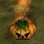 Pet Sprouting Pumpkin Vine