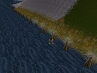 Aerial View of the Columns