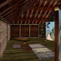 A pool of blood in the Baishi Bar near Carolyn Woron