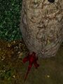 Thumbnail for version as of 04:30, 17 January 2024