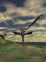 White Phyntos Wasp - Before