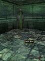 Thumbnail for version as of 04:34, 17 January 2024