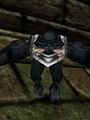 Thumbnail for version as of 03:47, 17 January 2024