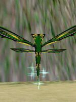 Jungle Phyntos Wasp - Before