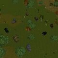 Thumbnail for version as of 04:16, 17 January 2024
