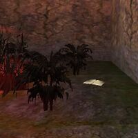 Report to Niarltah (1)