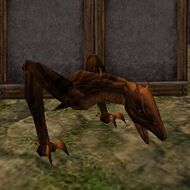 Commemorative Bronze Statue of a Gromnie